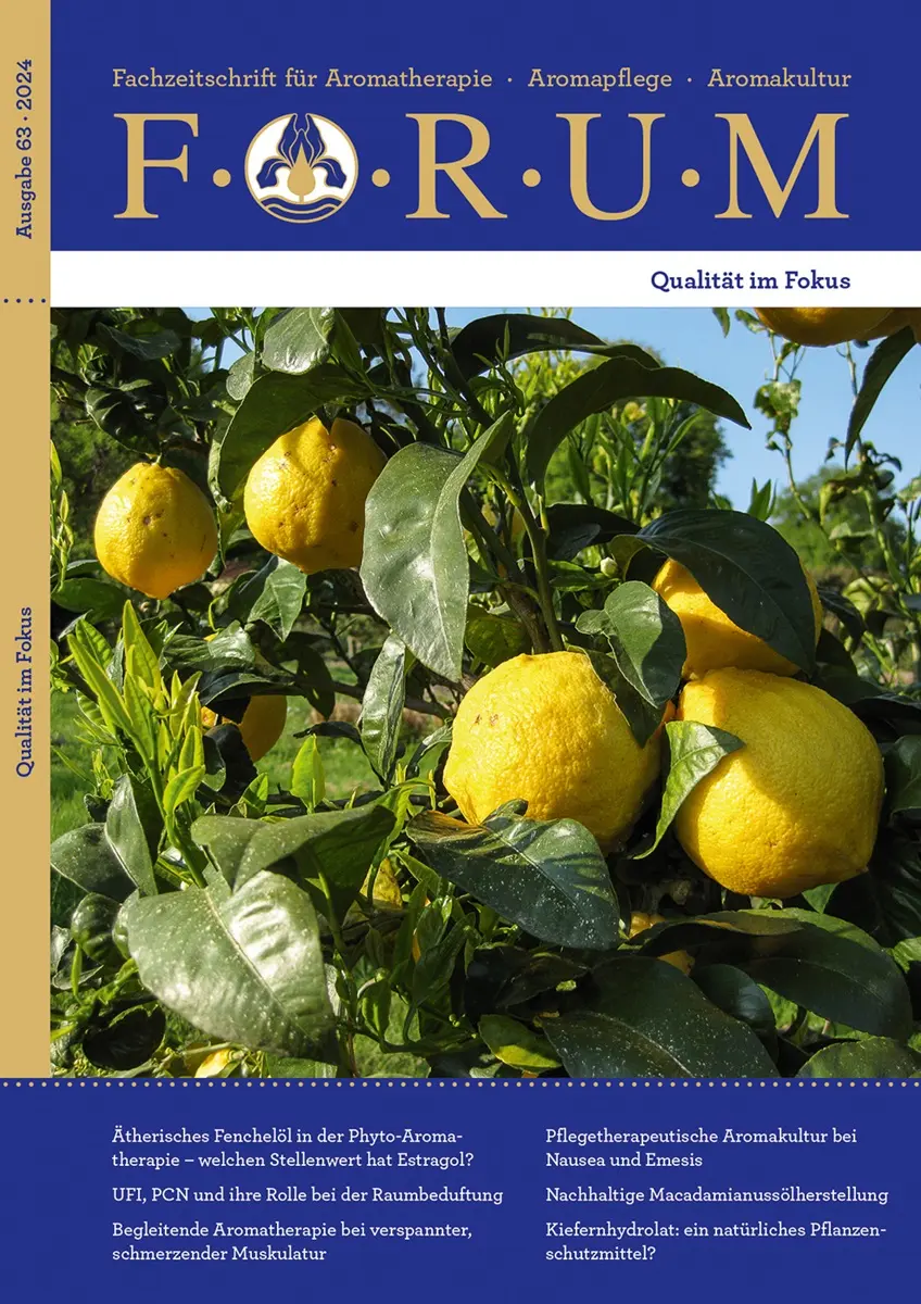 Understanding the Importance of Online Forums in Today’s Digital Age