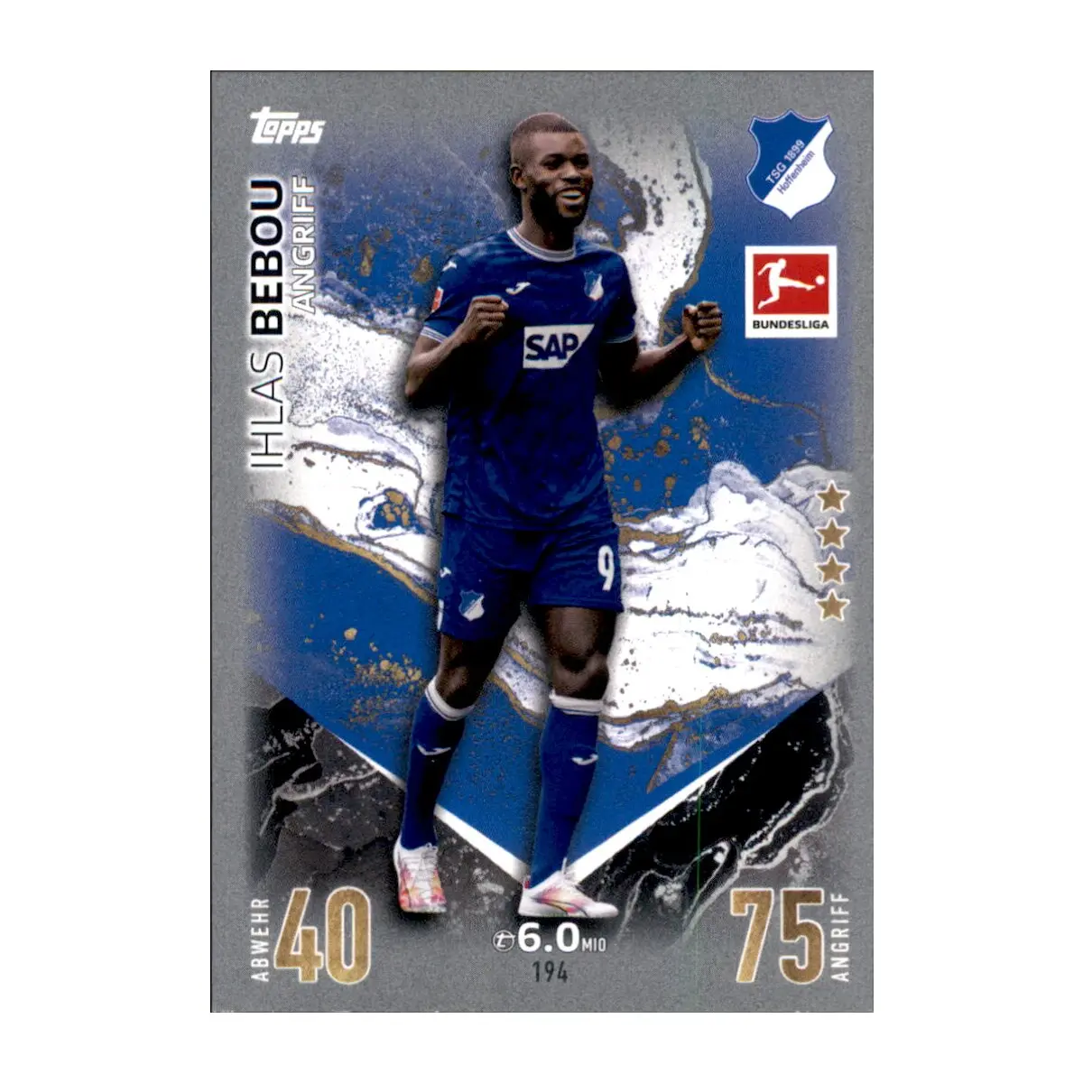 Current Updates on Hoffenheim in the Bundesliga
