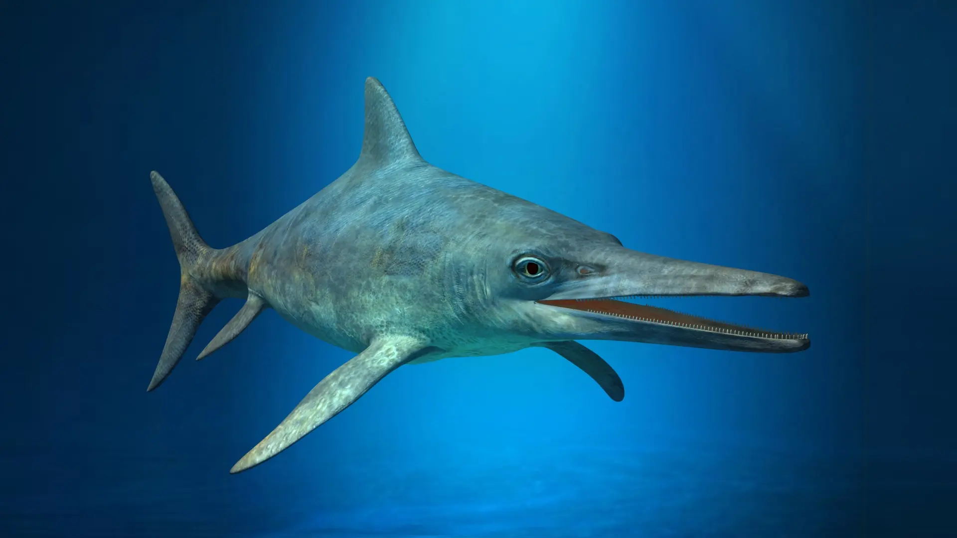 Discovering the Ichthyosaur: A Window into Prehistoric Oceans