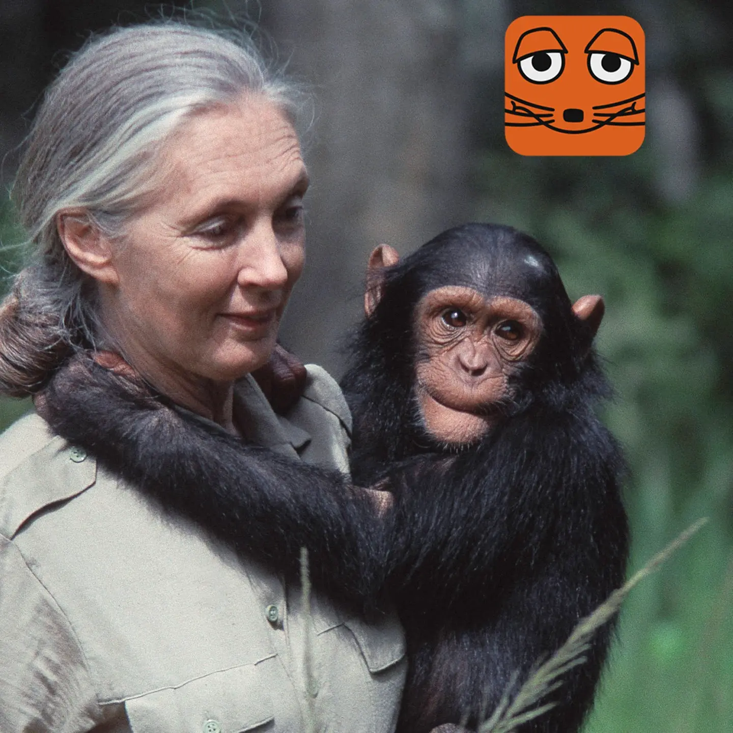 The Legacy of Jane Goodall: A Pioneer in Conservation