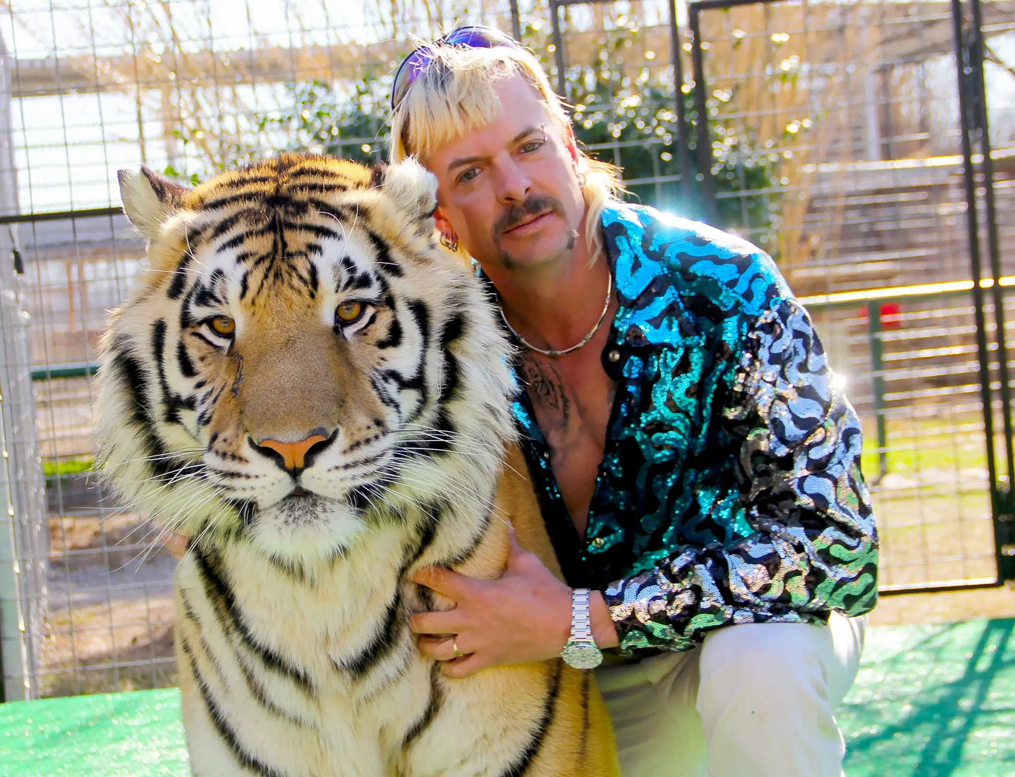 The Rise and Fall of Joe Exotic: A Tiger King Story