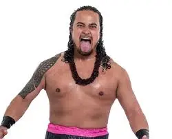 The Journey of Lance Anoaʻi in Professional Wrestling