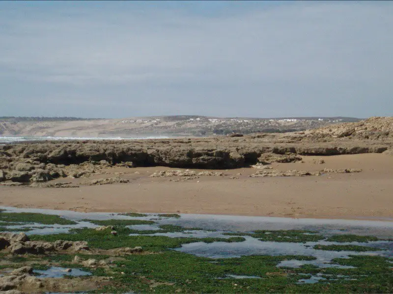 Understanding Morocco’s Cultural and Economic Landscape