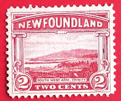 Exploring the Wonders of Newfoundland