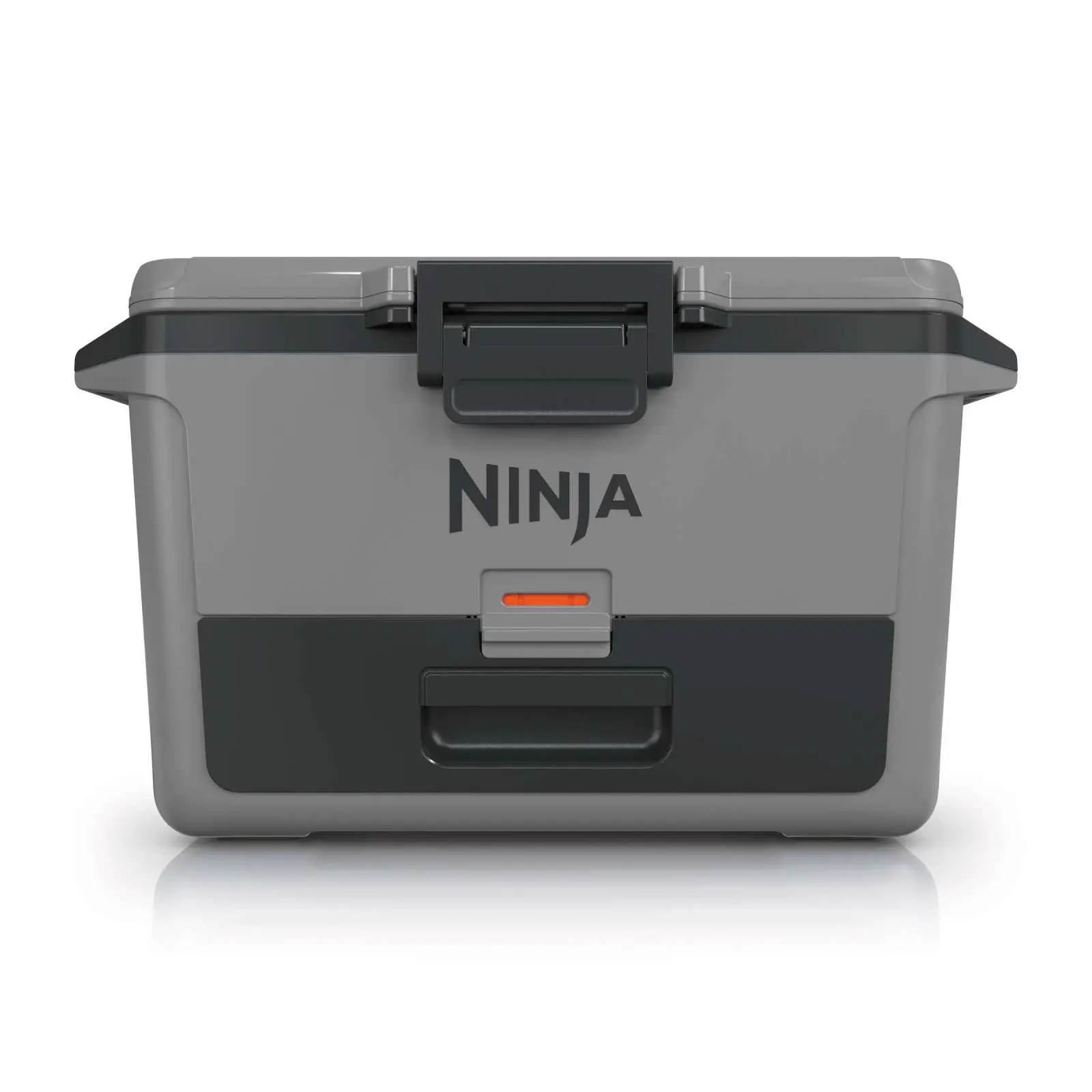 The Fascinating Legacy and Impact of Ninjas