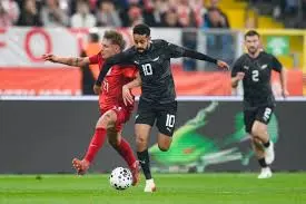 Poland vs New Zealand: Sporting Encounters and Highlights