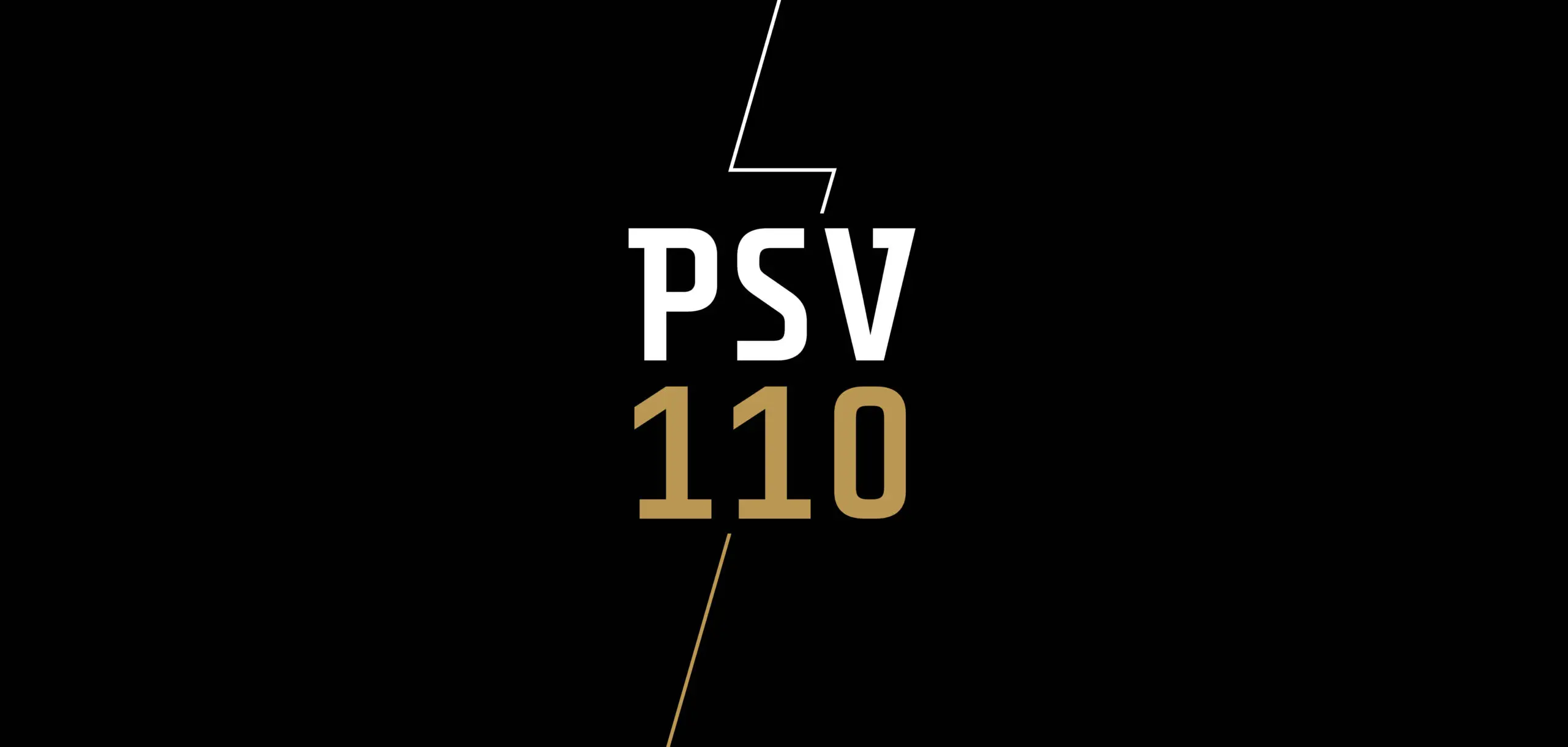 Understanding the Impact of PSV in Urban Transport
