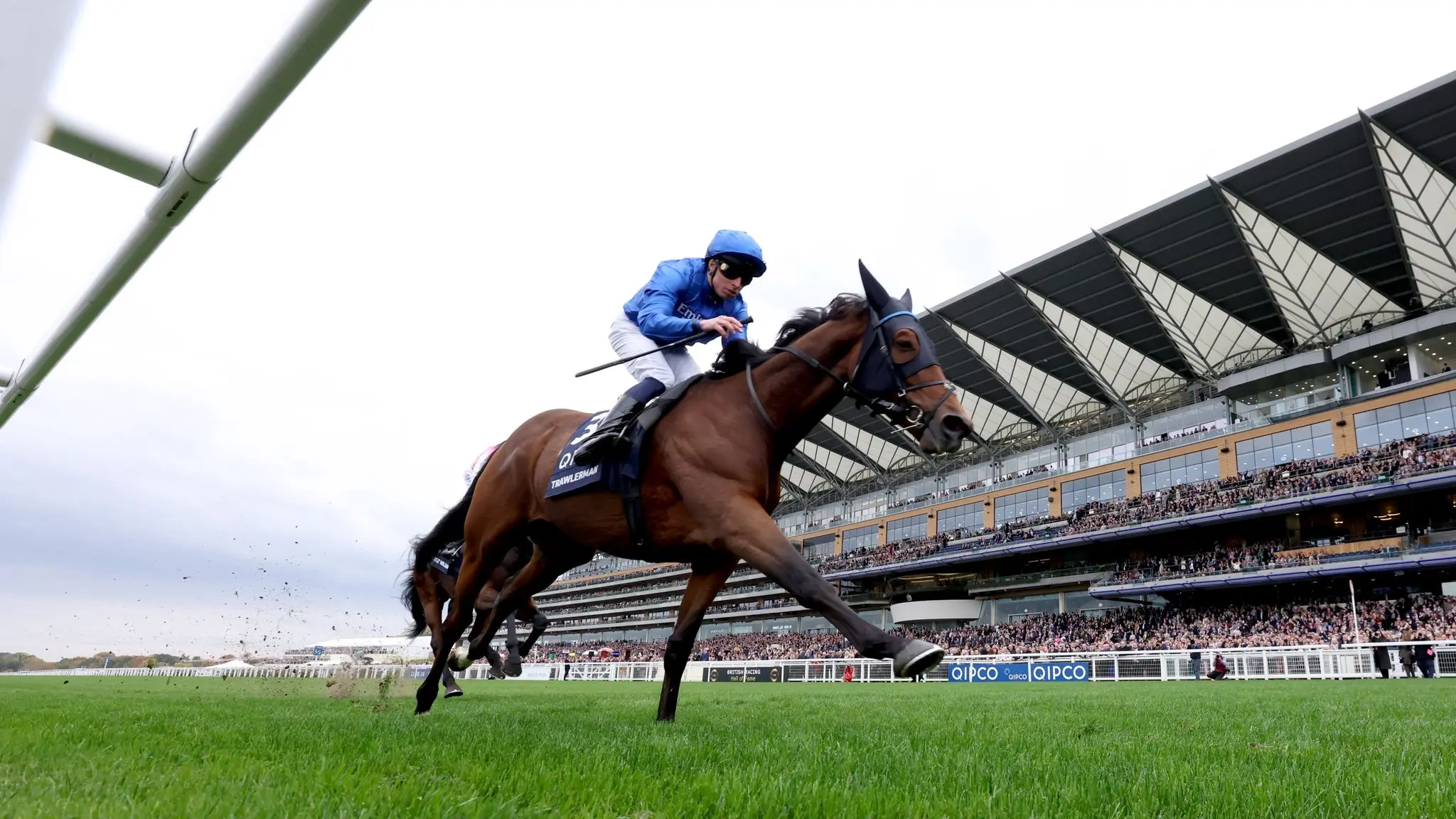 QIPCO: Transforming Sports Sponsorship Landscape