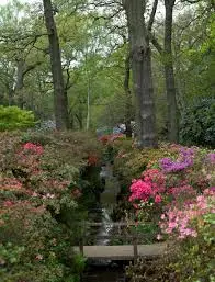 Richmond Park: A Gem of London’s Natural Landscape