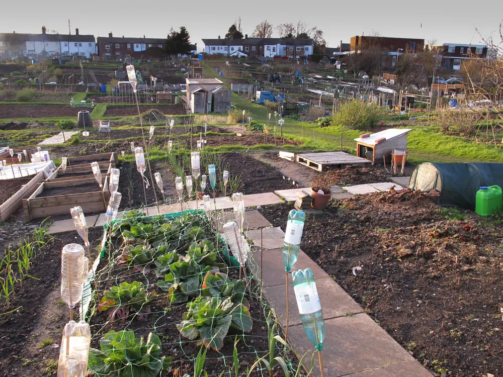 Exploring Stockport: A Vibrant Town in Greater Manchester