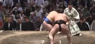 Exploring the Rich Traditions and Modern Trends in Sumo Wrestling