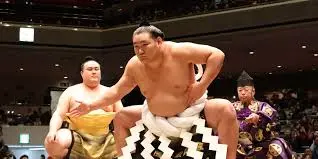 The Sumo Royal Albert Hall: A Celebration of Japanese Tradition