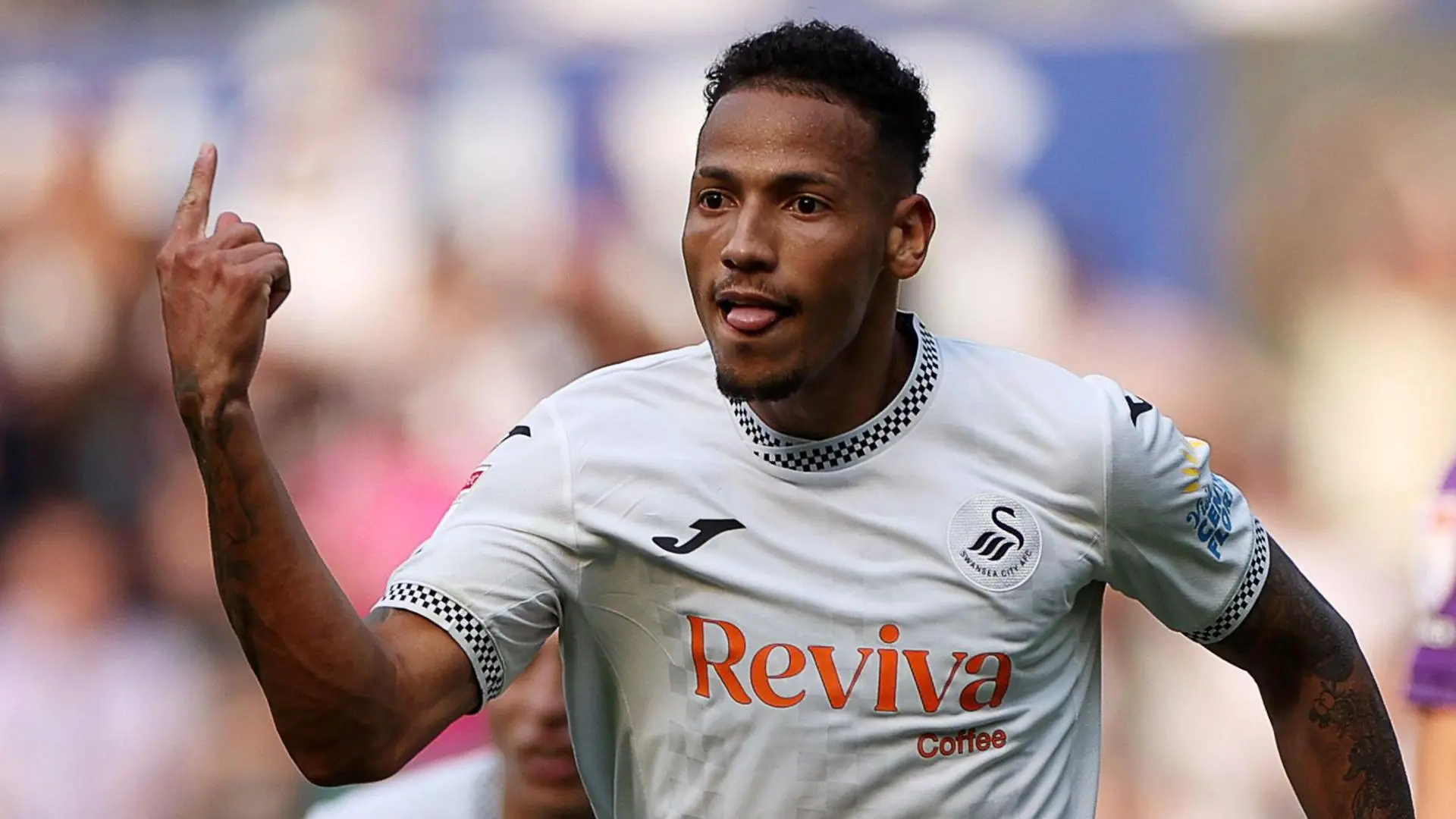The Journey of Swansea City: A Premier League Tale