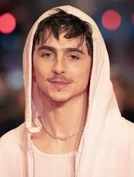 The Rise of Timothée Chalamet: A Hollywood Icon