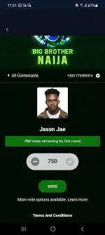 Vote Big Brother: Make Your Voice Count This Season