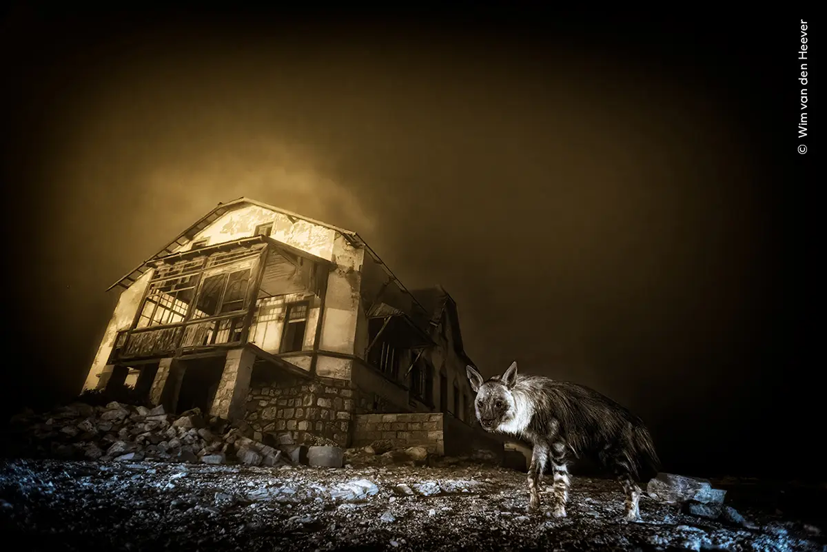 Celebrating the 2023 Winners of Wildlife Photographer of the Year