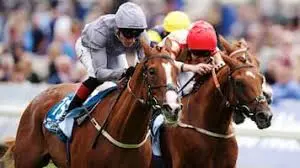 Exploring the Charm of York Races: A British Tradition