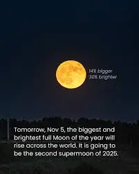 The Significance of the Beaver Moon: A November Tradition