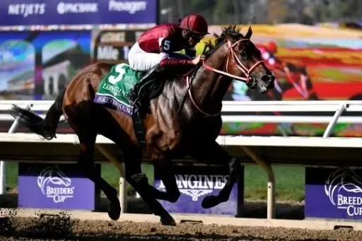 Highlights from the Breeders Cup Results 2023