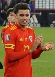 Brennan Johnson: The Bright Future of British Football