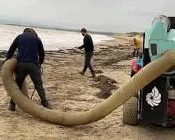 The Issue of Plastic Beads at Camber Sands