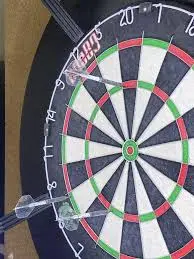 The Rise and Evolution of Darts in 2023