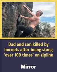 All You Need to Know About Laos Hornets