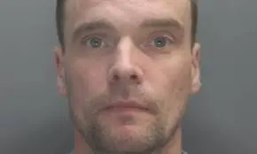 Recent Developments in the Case of Mark Fellows