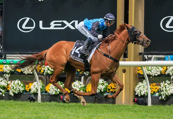 Melbourne Cup Results 2023: Highlights and Winners
