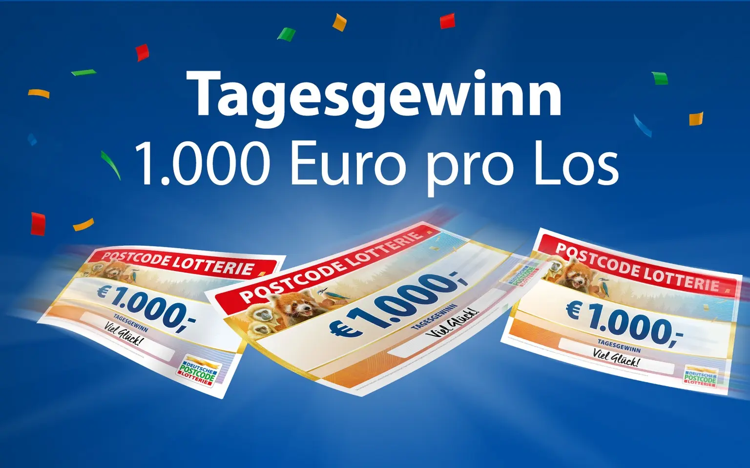 Everything You Need to Know About Postcode Lotto