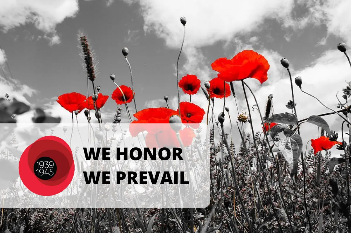Understanding the Significance of Remembrance Day 2023