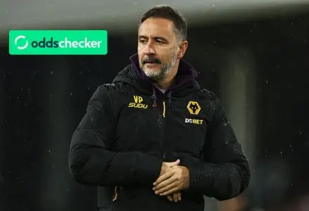 Latest Updates on Wolves Manager Odds