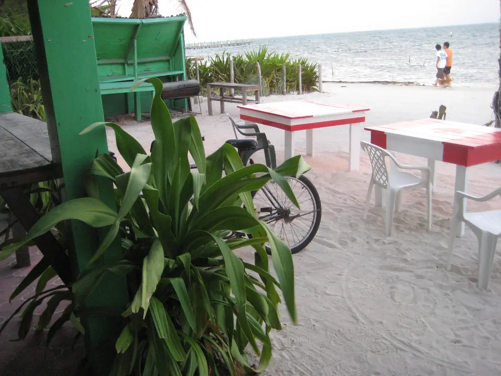 Discovering the Wonders of Belize: Culture, Nature, and Adventure