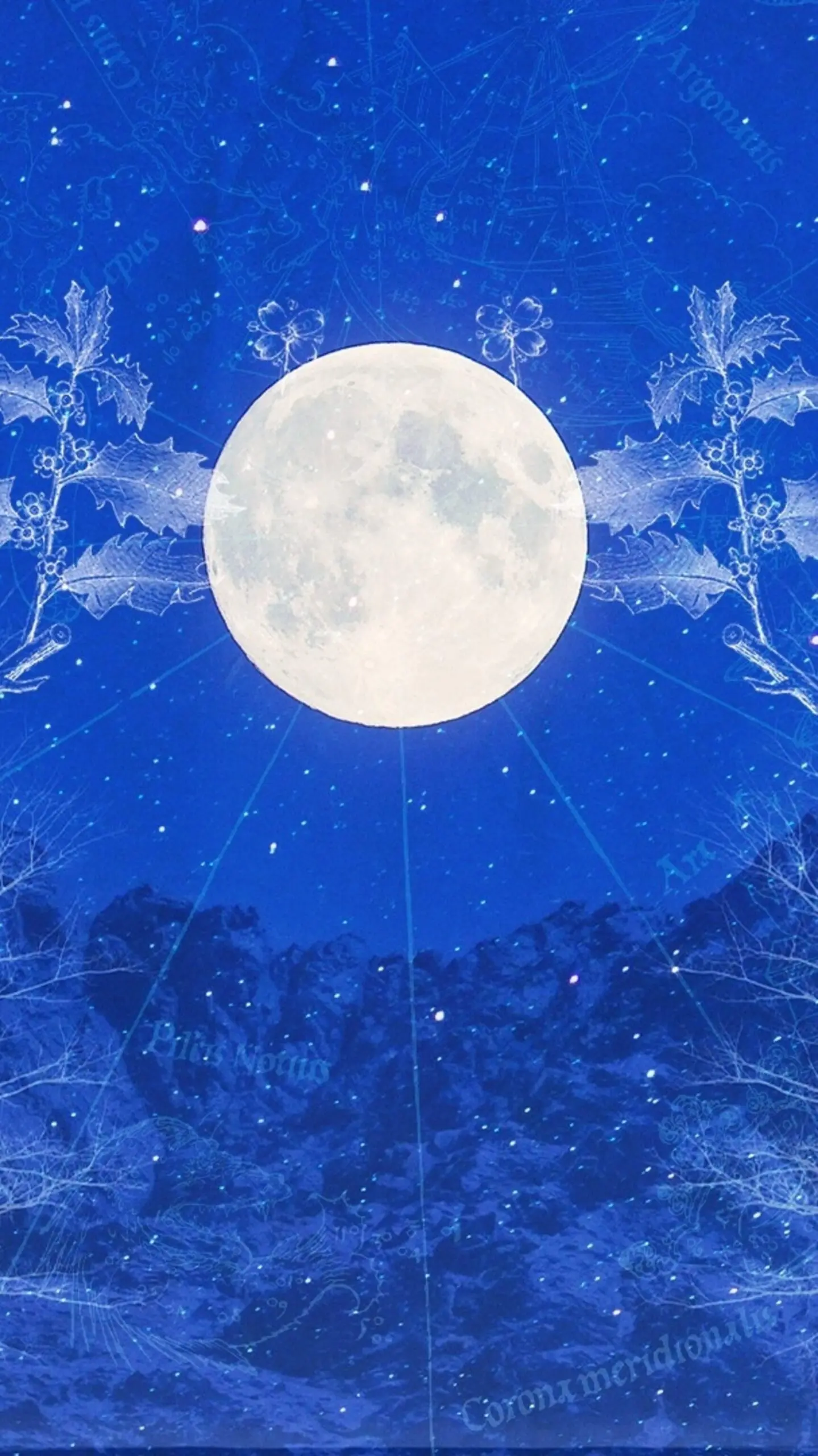Understanding Cold Moon Full Moon in Astrology