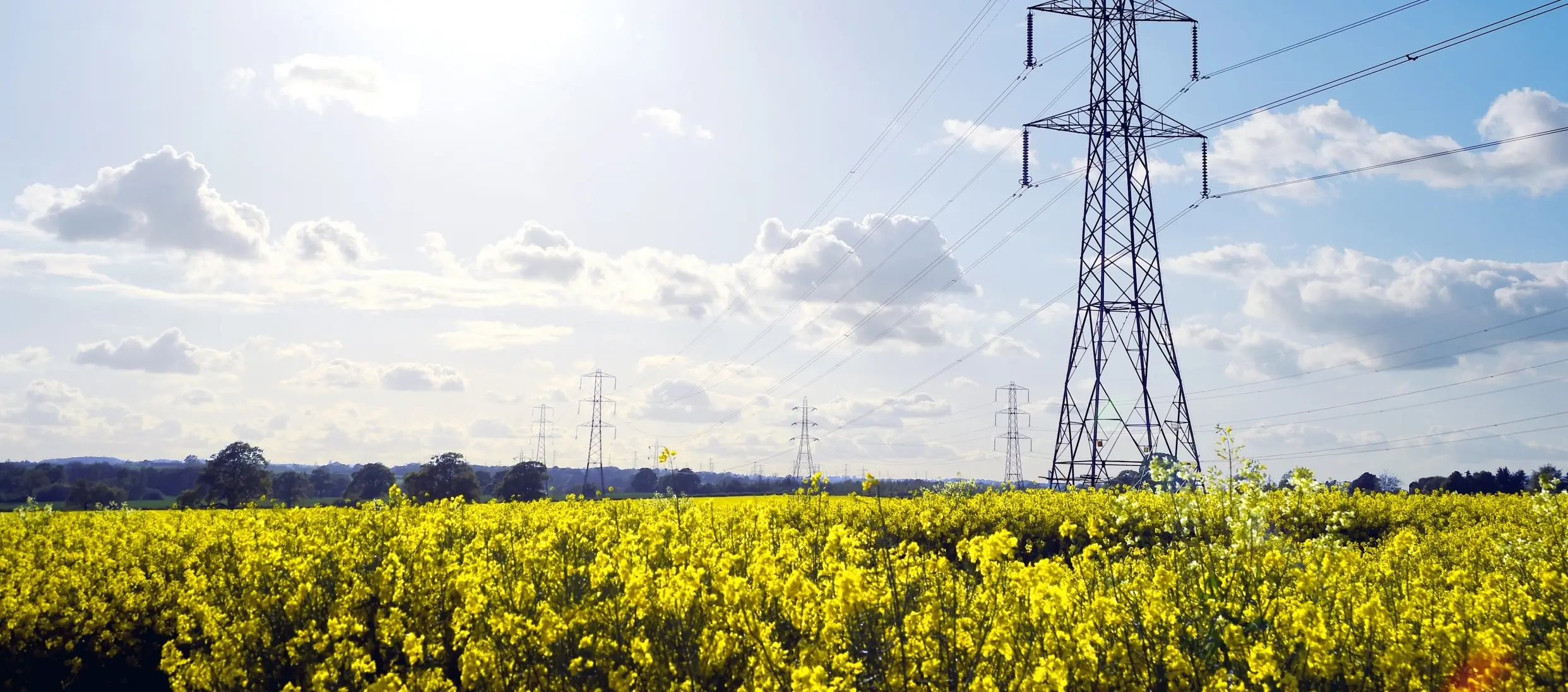 The National Grid: Backbone of the UK’s Energy Supply