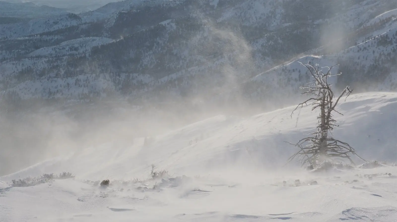 Snow Squalls: What You Need to Know