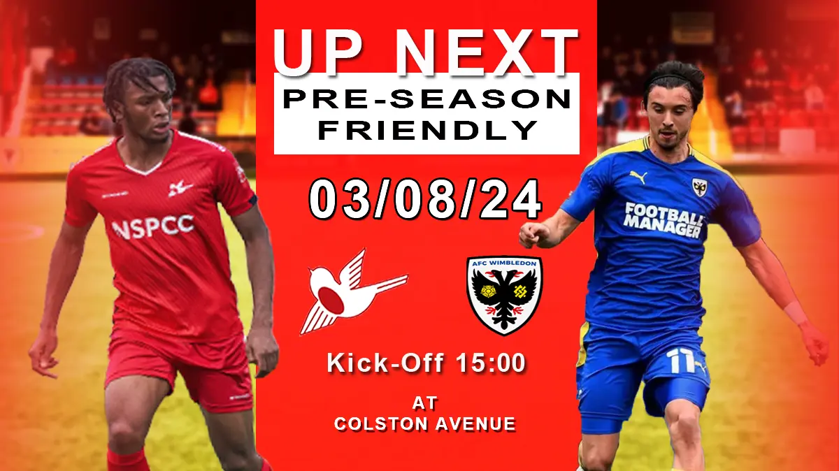 AFC Wimbledon vs Reading: A Clash of Rivals