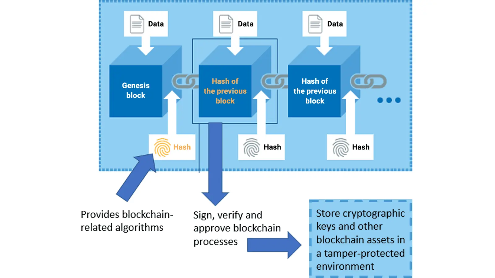 The Growing Importance of Blockchain Applications