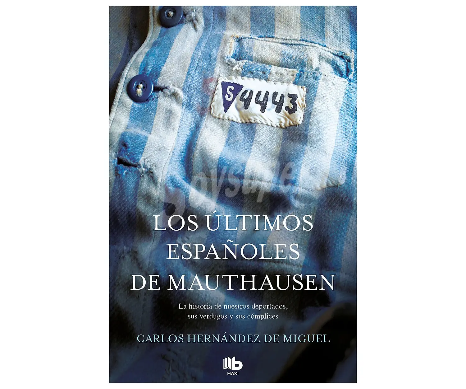 Understanding Carlos Hernández de Miguel’s Contributions
