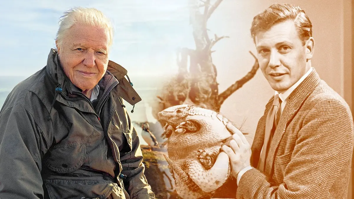 The Remarkable Legacy of David Attenborough