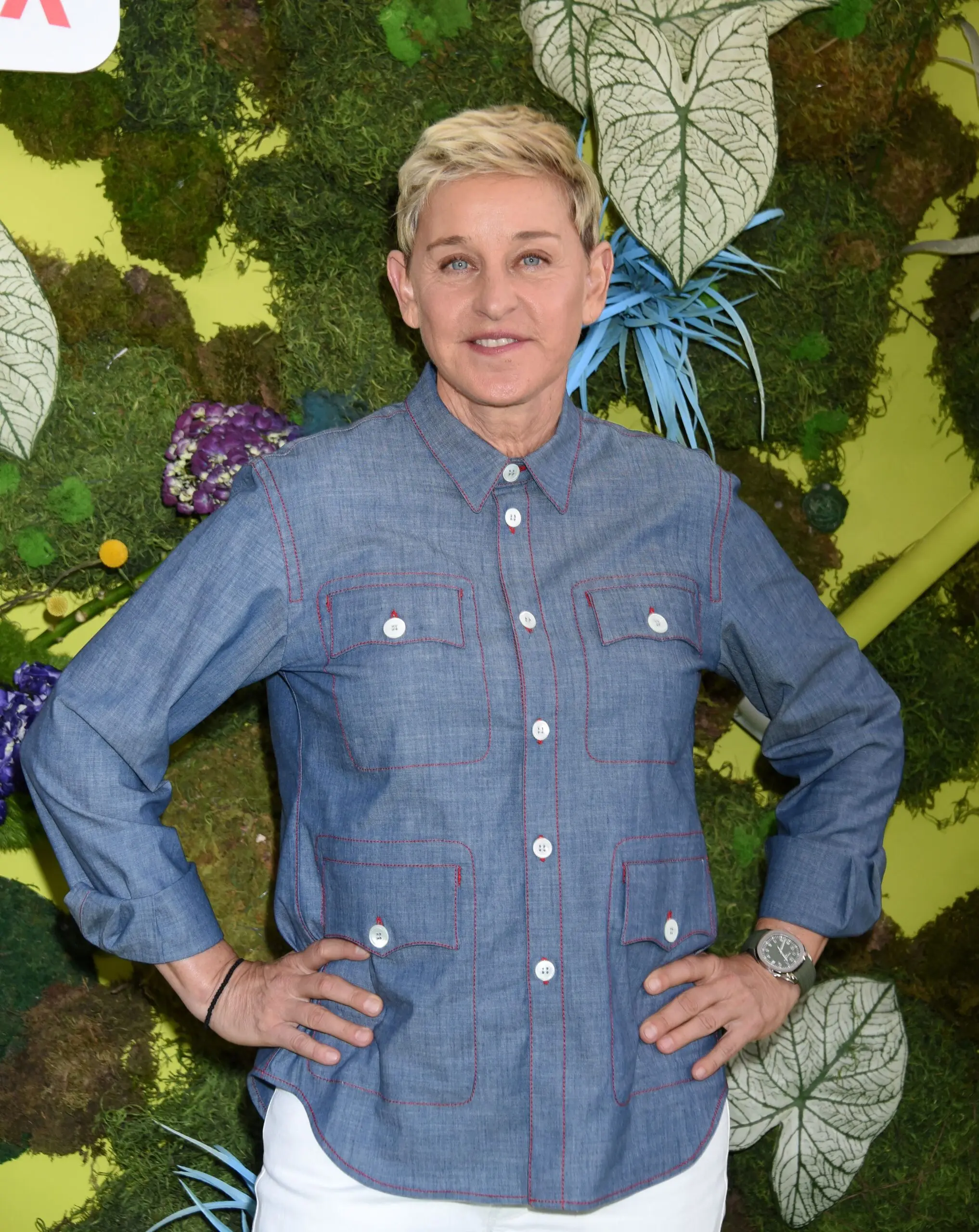Ellen DeGeneres: A Pioneer of Kindness and Laughter