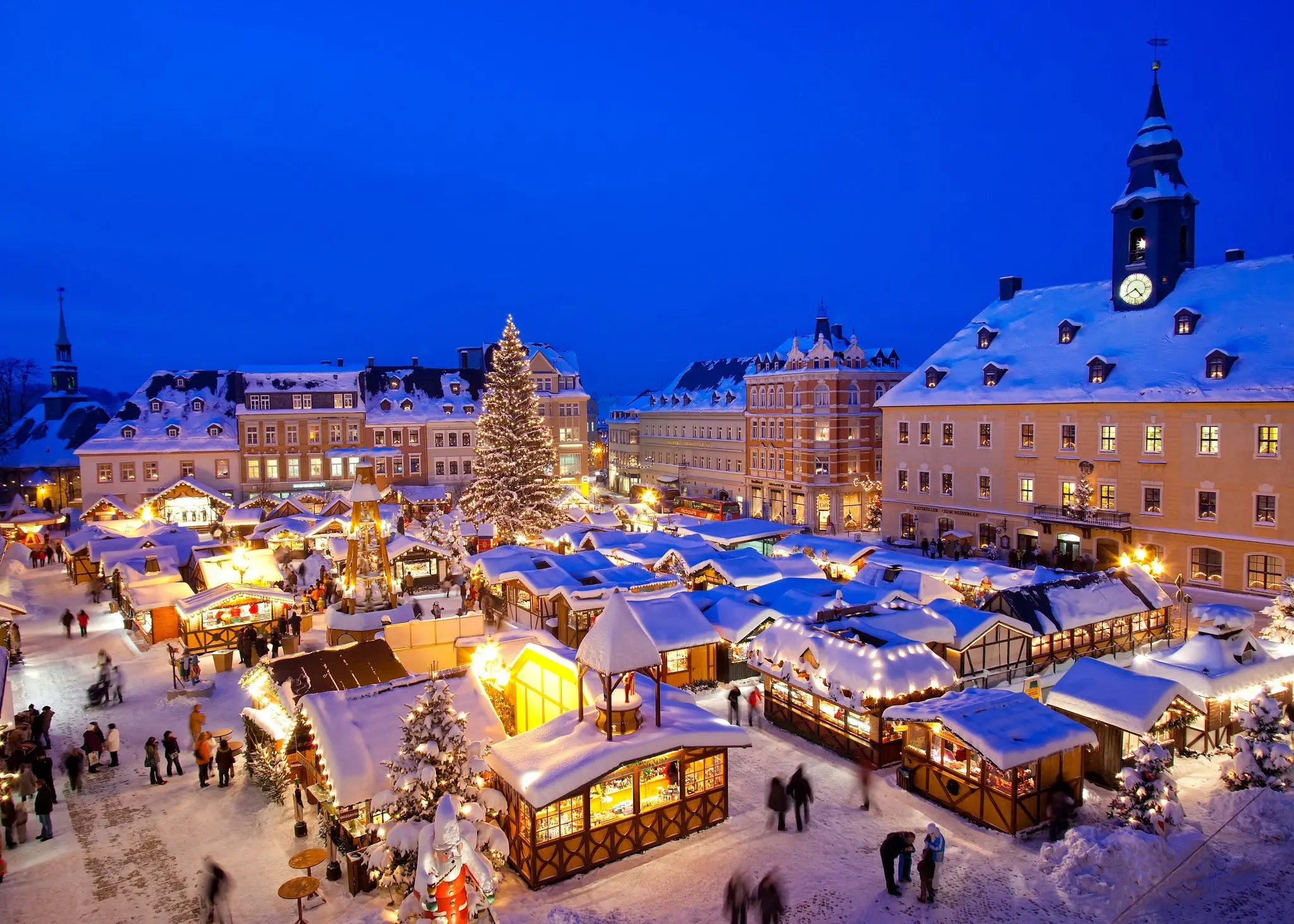 Estonia: A Blooming Tech Hub in Northern Europe