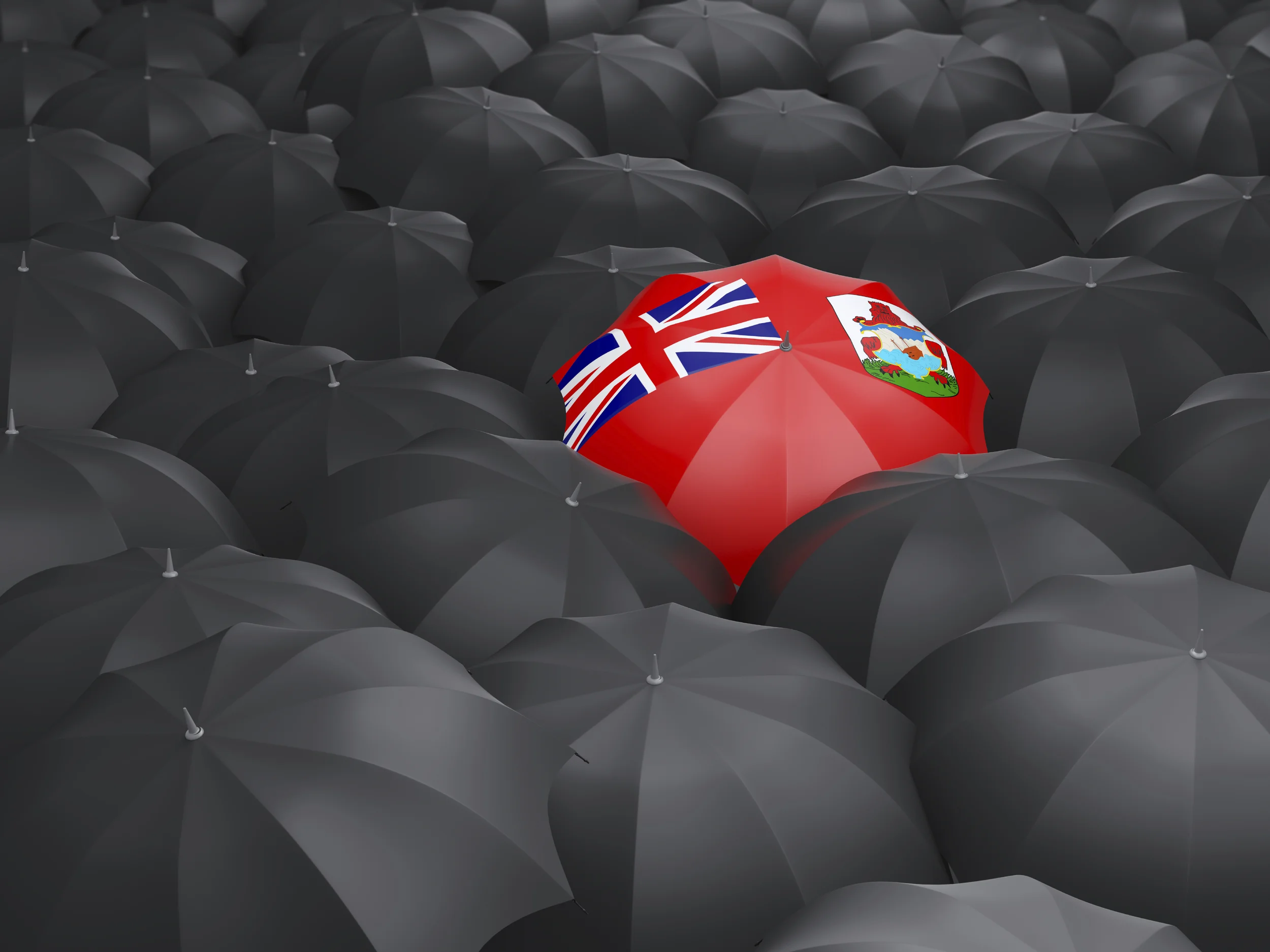 Expats Are Renouncing British Citizenship: A Growing Trend