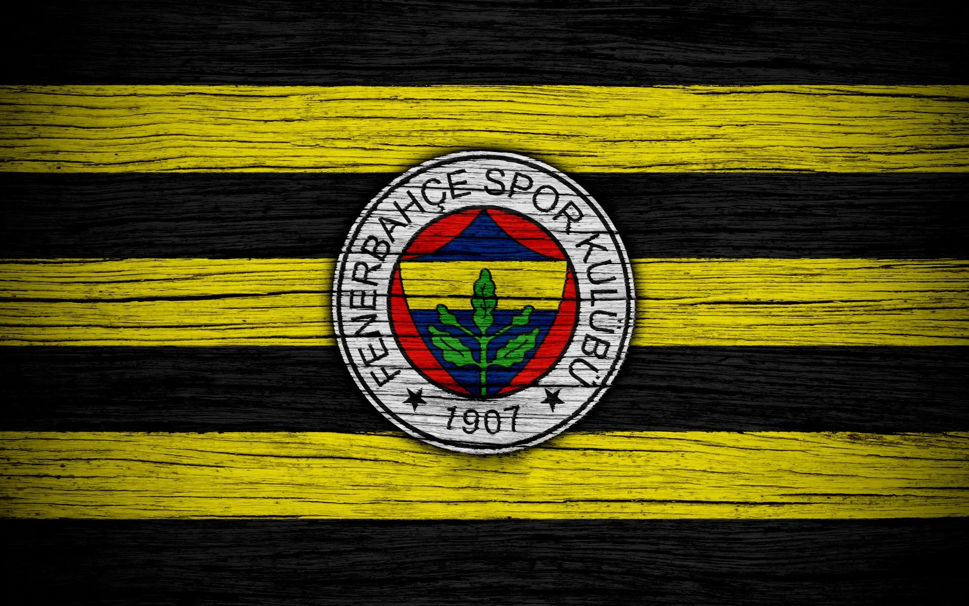 Exploring the Legacy of Fenerbahçe in Turkish Football