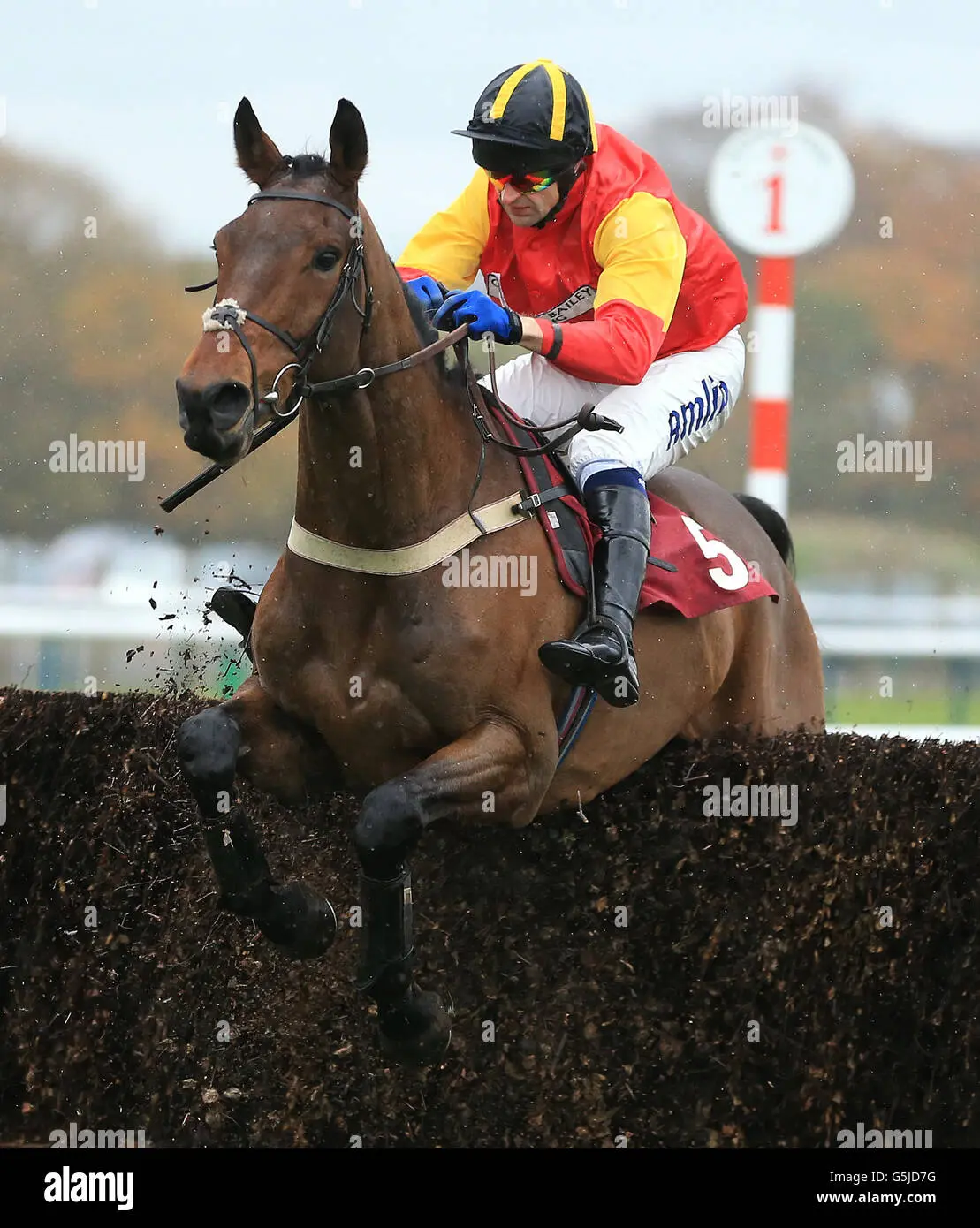 Haydock Races: Key Venue in UK Horse Racing
