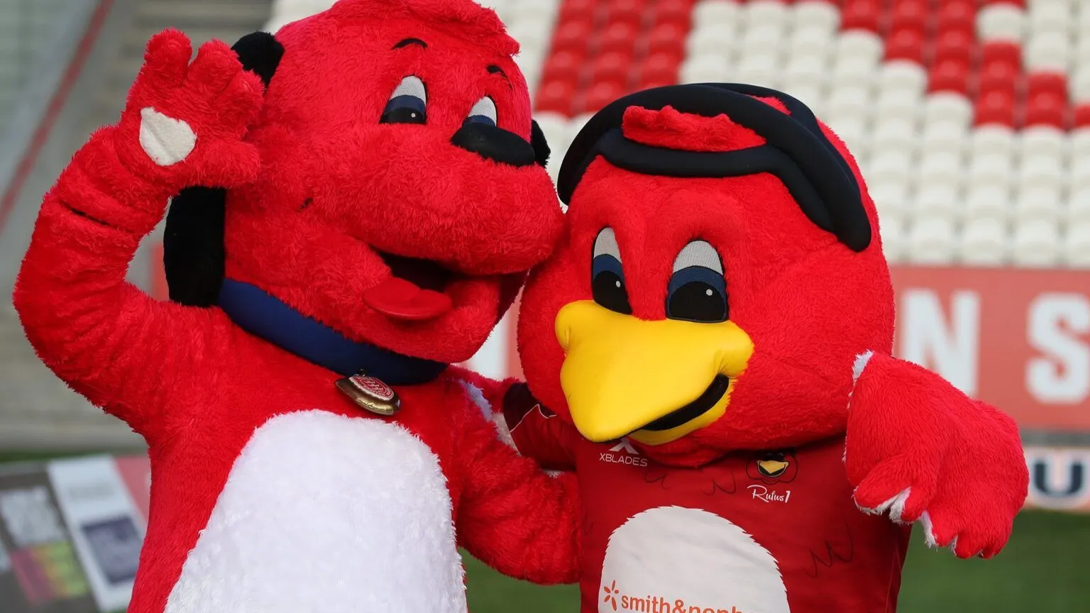 Hull KR: A Rising Power in Rugby League