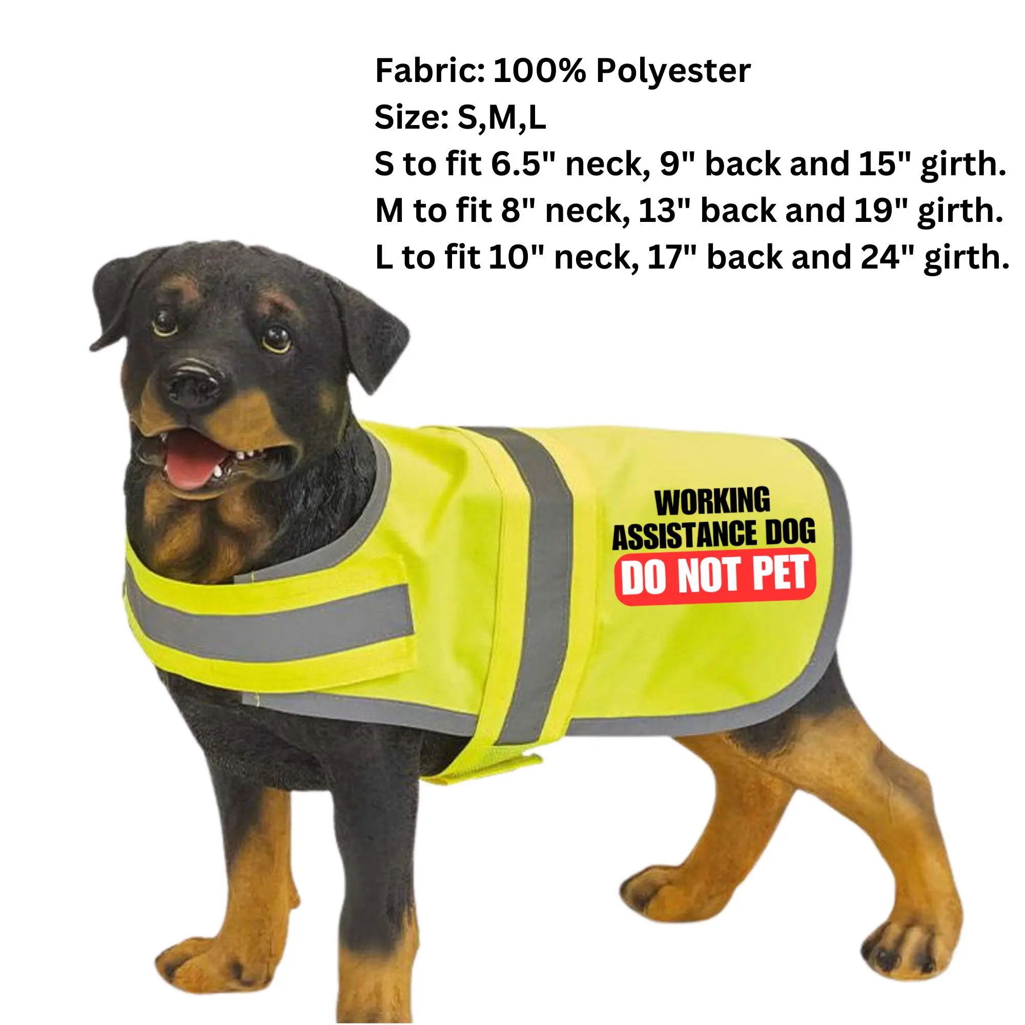 Understanding the JD Wetherspoon Assistance Dog Policy