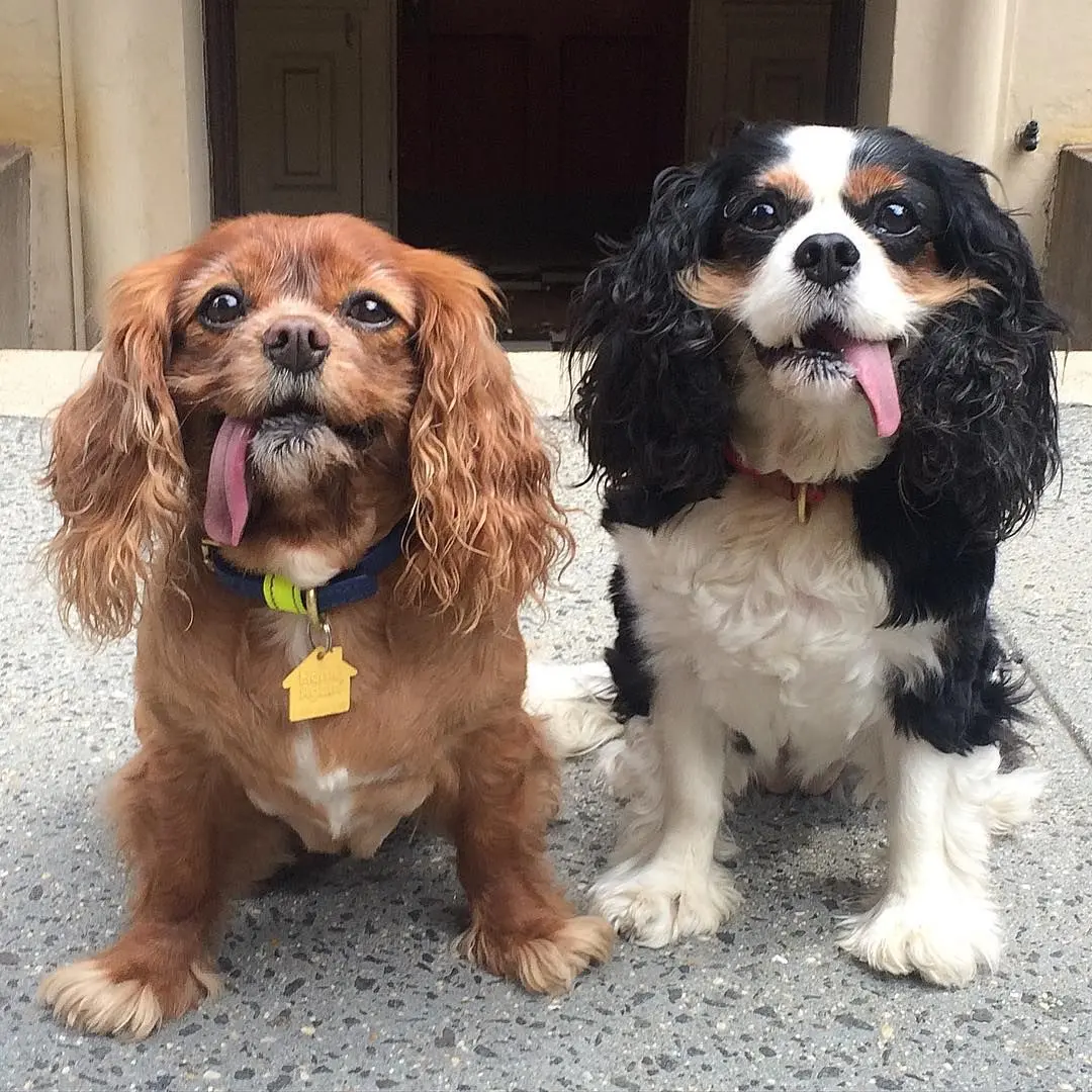 King Charles: The Beginning of a New Monarchical Era