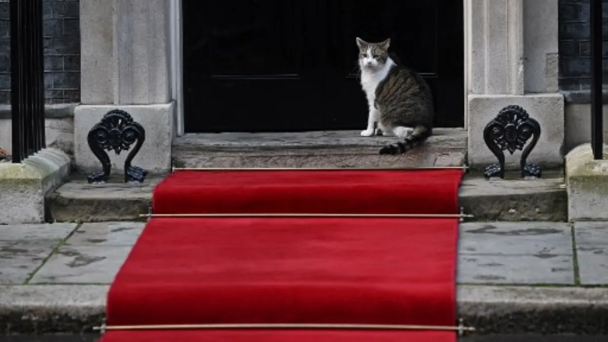 Larry the Cat: The Chief Mouser of 10 Downing Street