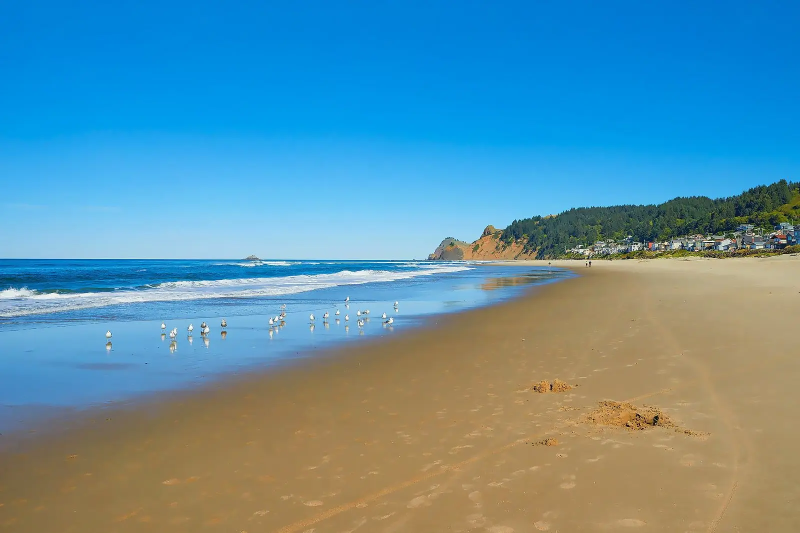 Exploring Lincoln City: History, Culture, and Community